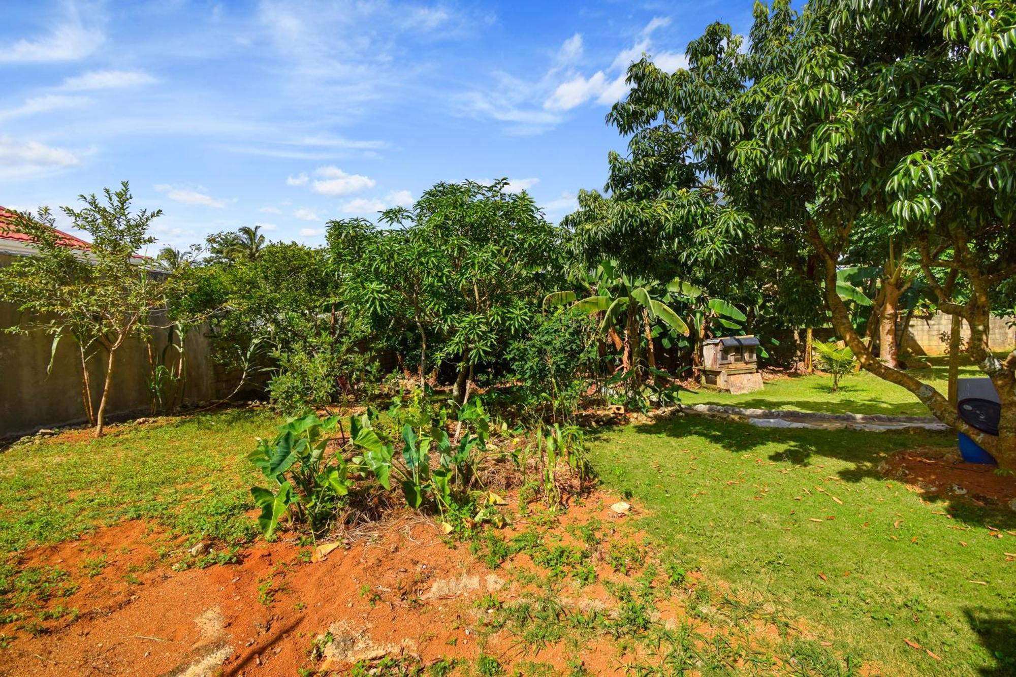 Harriott Heights Appartement Mandeville Buitenkant foto