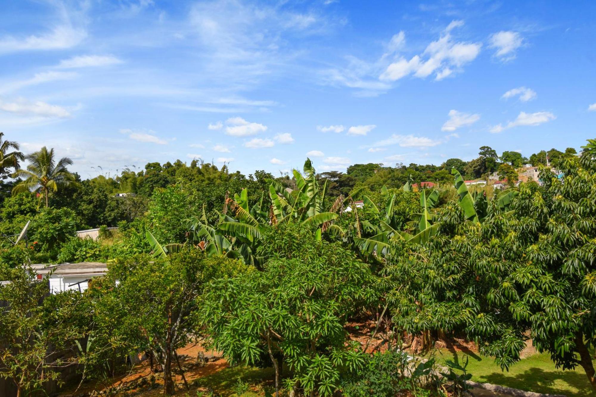 Harriott Heights Appartement Mandeville Buitenkant foto